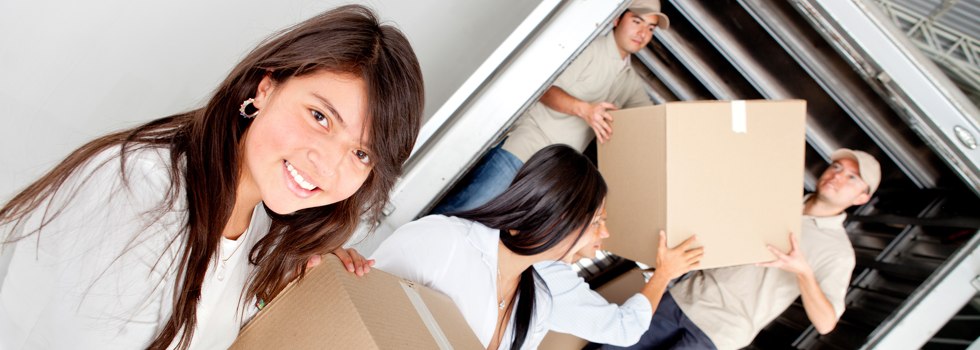 Professional Removalists Tocal NSW